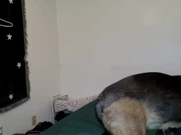 bigtiddiebruja