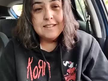 mizwindowlicker