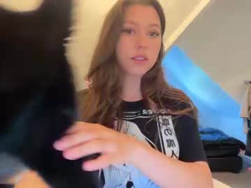 sophidophi